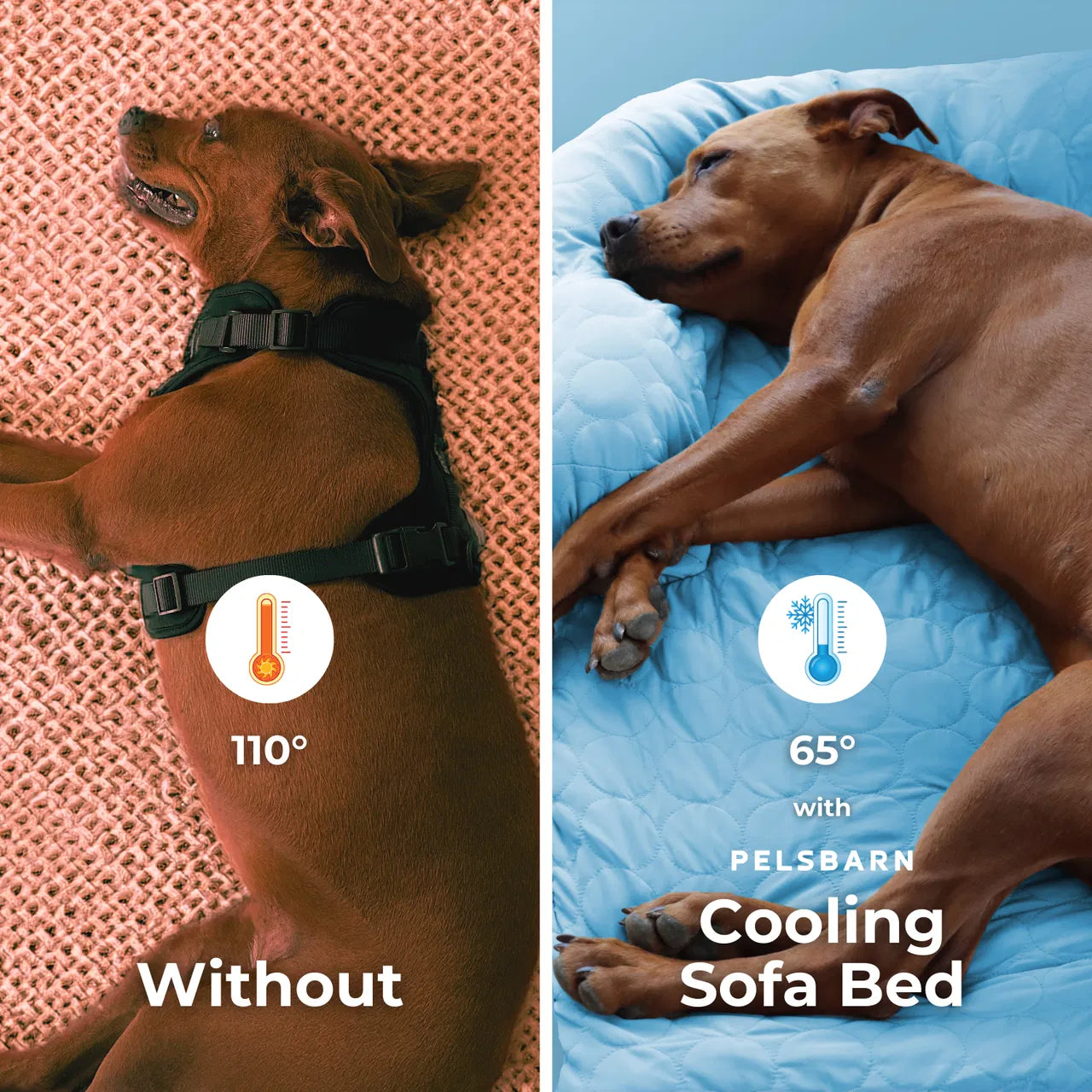 Cooling Sofa Bed