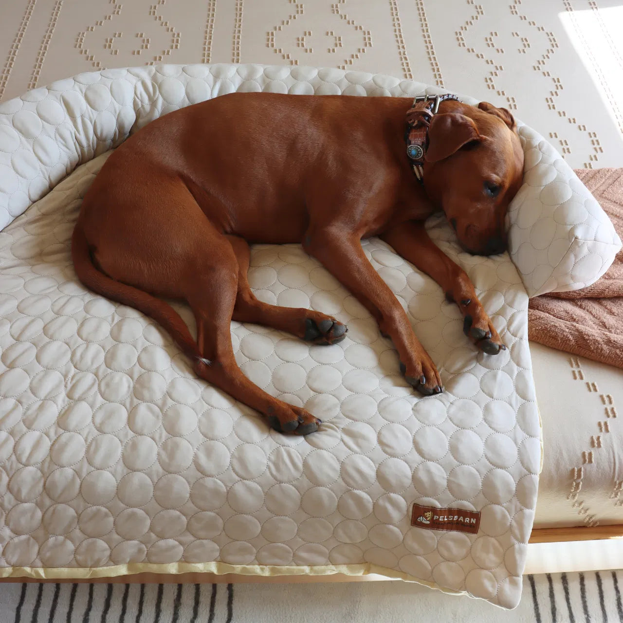 Cooling Sofa Bed