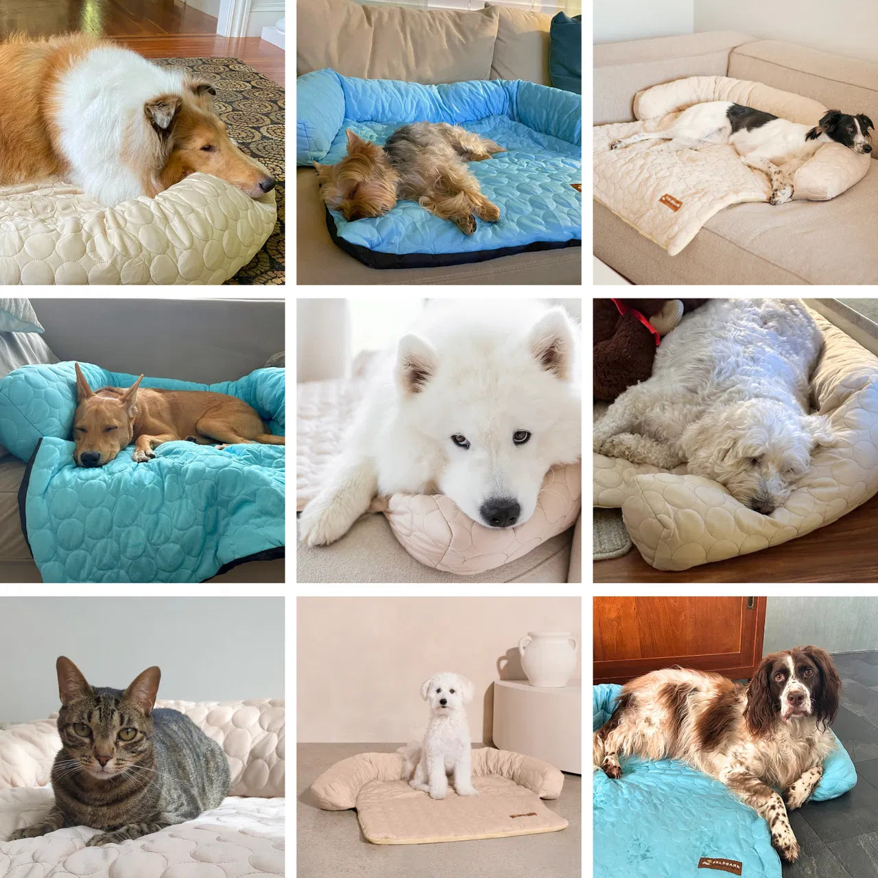 Cooling Sofa Bed