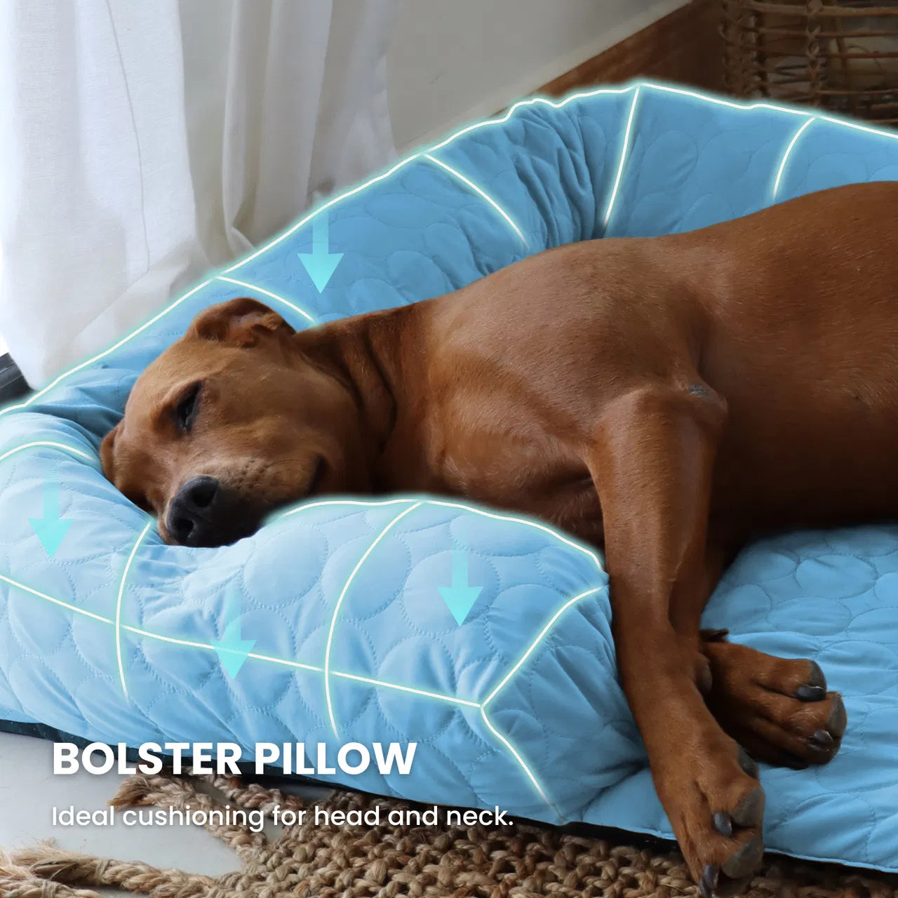 Cooling Sofa Bed