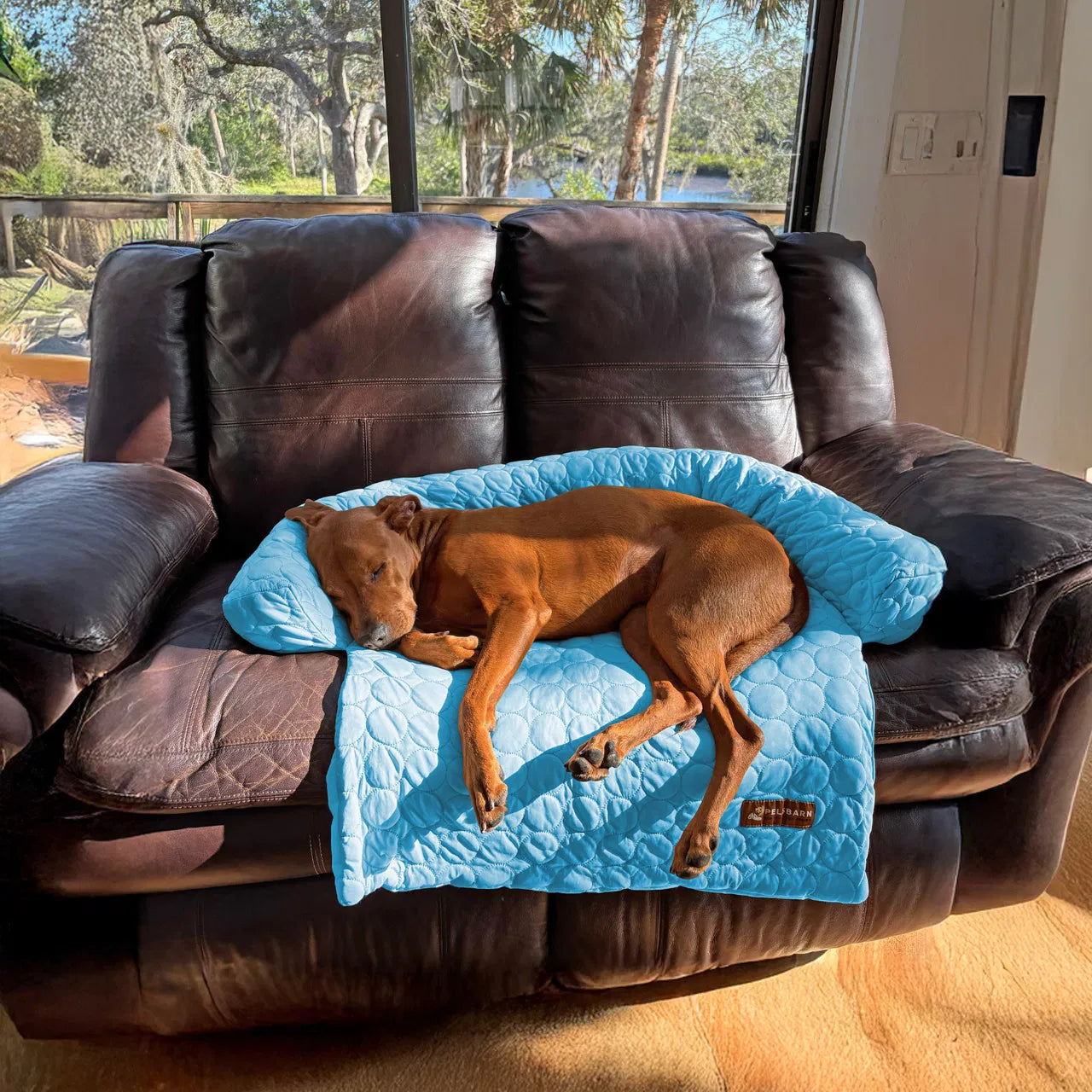 Cooling Sofa Bed
